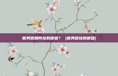 服务器如何挂载硬盘? (服务器挂载硬盘)
