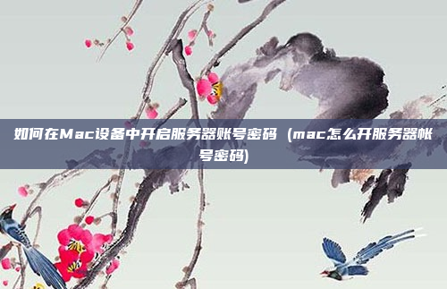 如何在Mac设备中开启服务器账号密码 (mac怎么开服务器帐号密码)