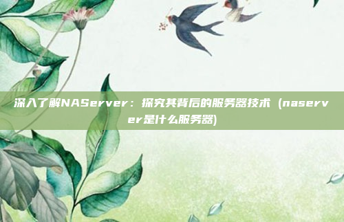 深入了解NAServer:探究其背后的服务器技术 (naserver是什么服务器)