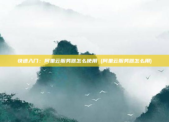 快速入门:阿里云服务器怎么使用 (阿里云服务器怎么用)