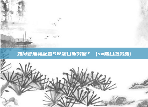 如何管理和配置SW端口服务器? (sw端口服务器)
