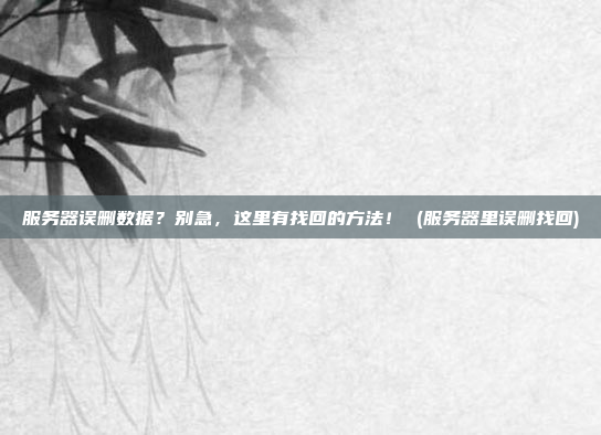服务器误删数据?别急,这里有找回的方法! (服务器里误删找回)