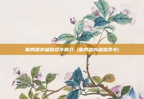 服务器存储器命令简介 (服务器存储器命令)