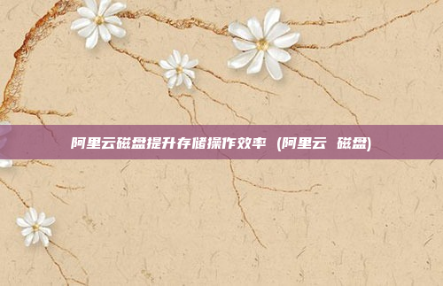 阿里云磁盘提升存储操作效率 (阿里云 磁盘)
