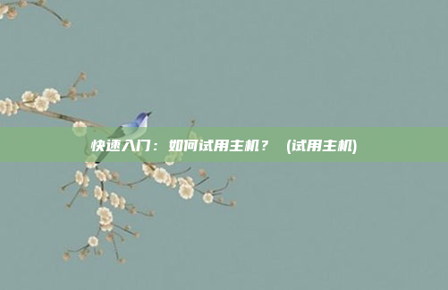 快速入门:如何试用主机? (试用主机)