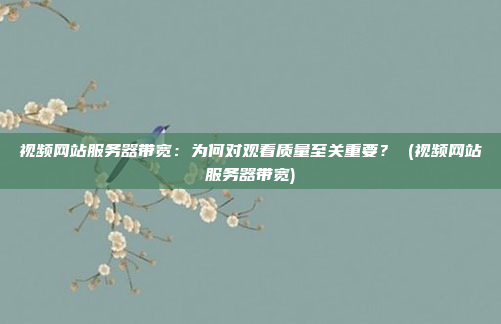 视频网站服务器带宽：为何对观看质量至关重要？ (视频网站服务器带宽)