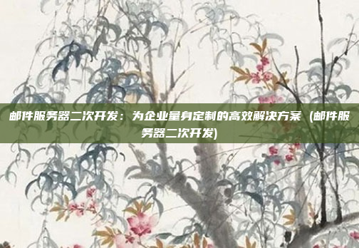 邮件服务器二次开发:为企业量身定制的高效解决方案 (邮件服务器二次开发)
