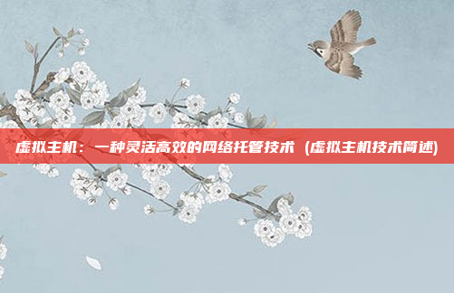 虚拟主机:一种灵活高效的网络托管技术 (虚拟主机技术简述)