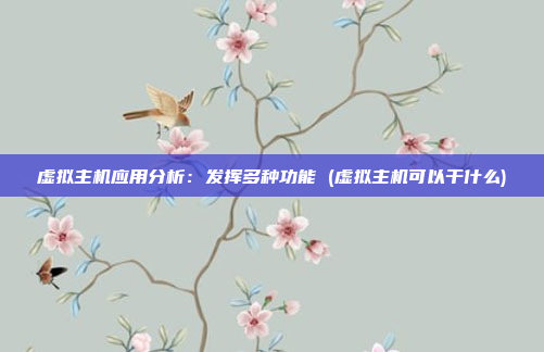 虚拟主机应用分析：发挥多种功能 (虚拟主机可以干什么)