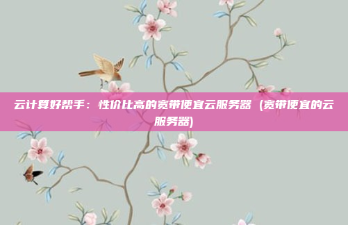 云计算好帮手:性价比高的宽带便宜云服务器 (宽带便宜的云服务器)