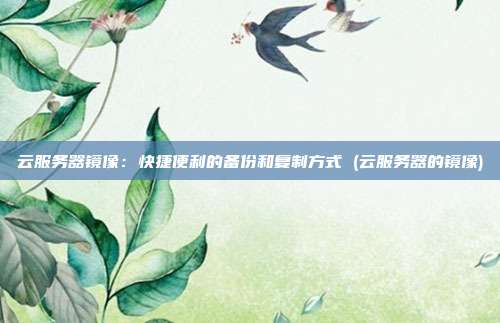 云服务器镜像:快捷便利的备份和复制方式 (云服务器的镜像)