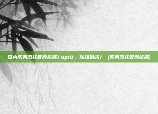 国内服务器托管商排名Top10,你知道吗? (服务器托管商排名)
