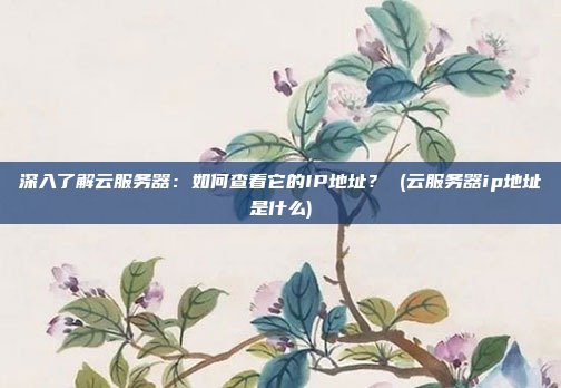 深入了解云服务器:如何查看它的IP地址? (云服务器ip地址是什么)