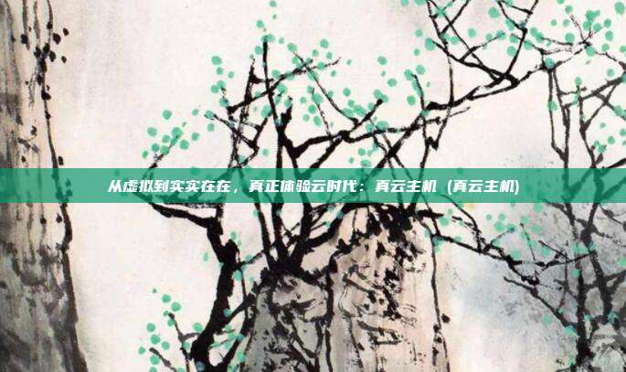 从虚拟到实实在在,真正体验云时代:真云主机 (真云主机)