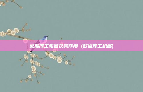数据库主机名及其作用 (数据库主机名)