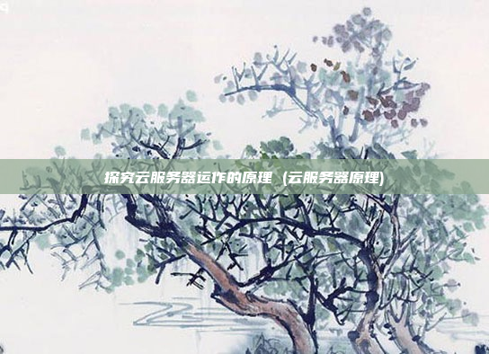 探究云服务器运作的原理 (云服务器原理)