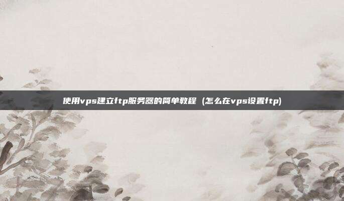 使用vps建立ftp服务器的简单教程 (怎么在vps设置ftp)