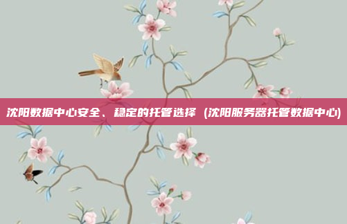 沈阳数据中心安全、稳定的托管选择 (沈阳服务器托管数据中心)