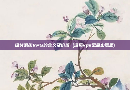 探讨混拨VPS的含义及价值 (混拨vps是多少意思)