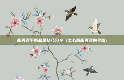 服务器平衡测量技巧分享 (怎么测服务器的平衡)