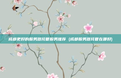 成都更好的服务器托管服务推荐 (成都服务器托管在哪好)