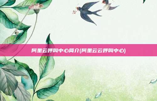 阿里云呼叫中心简介(阿里云云呼叫中心)