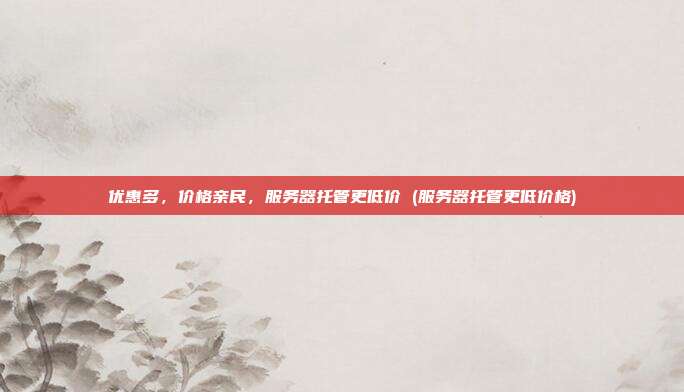 优惠多，价格亲民，服务器托管更低价 (服务器托管更低价格)