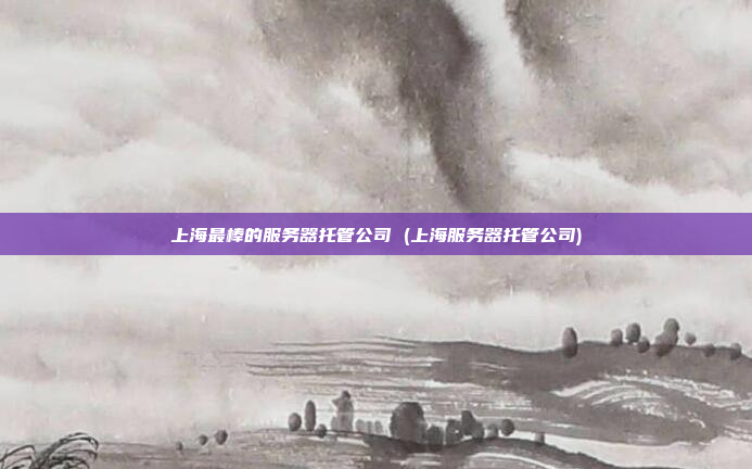 上海最棒的服务器托管公司 (上海服务器托管公司)