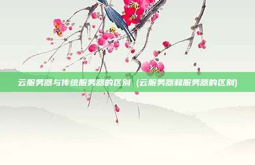 云服务器与传统服务器的区别 (云服务器和服务器的区别)