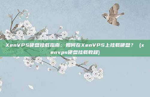 XenVPS硬盘挂载指南:如何在XenVPS上挂载硬盘? (xenvps硬盘挂载教程)