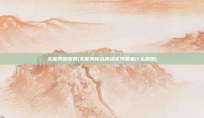 无服务器服务(无服务所选网络不可用是什么原因)