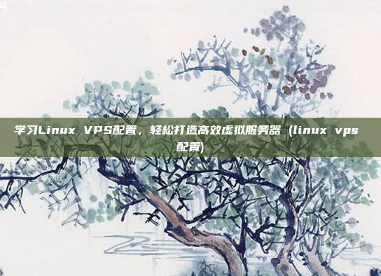 学习Linux VPS配置,轻松打造高效虚拟服务器 (linux vps 配置)