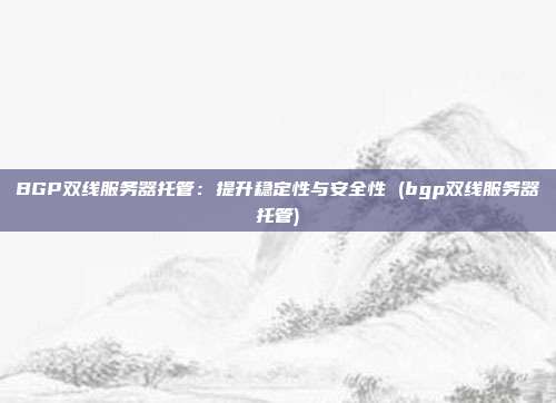BGP双线服务器托管:提升稳定性与安全性 (bgp双线服务器托管)