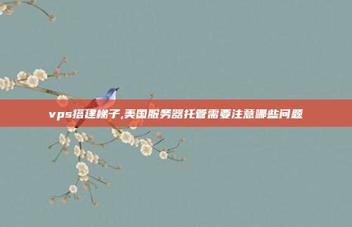 vps搭建梯子,美国服务器托管需要注意哪些问题