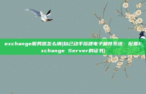 exchange服务器怎么填(自己动手搭建电子邮件系统：配置Exchange Server的证书)