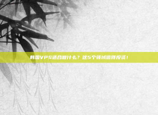 韩国VPS适合做什么？这5个领域值得投资！