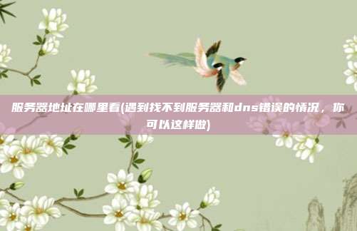 服务器地址在哪里看(遇到找不到服务器和dns错误的情况,你可以这样做)