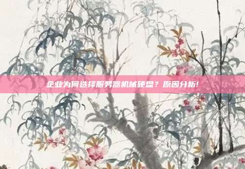 企业为何选择服务器机械硬盘？原因分析!