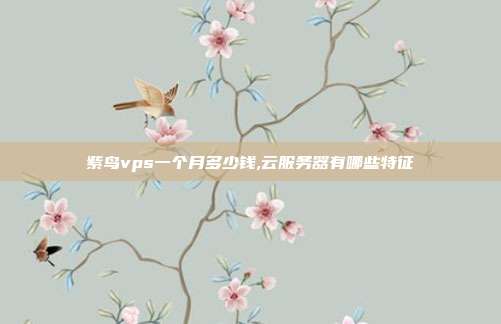 紫鸟vps一个月多少钱,云服务器有哪些特征