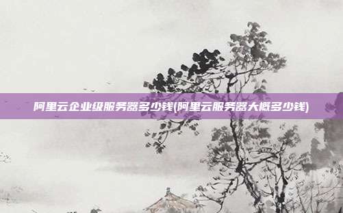 阿里云企业级服务器多少钱(阿里云服务器大概多少钱)
