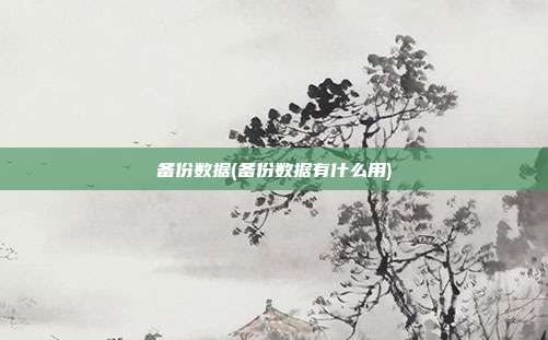 备份数据(备份数据有什么用)