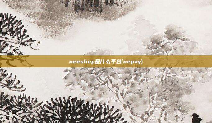 ueeshop是什么平台(uepay)