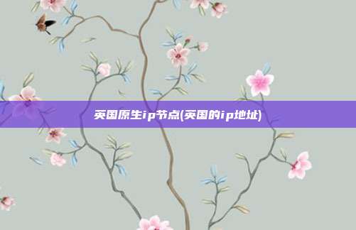 英国原生ip节点(英国的ip地址)