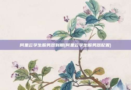 阿里云学生服务器到期(阿里云学生服务器配置)