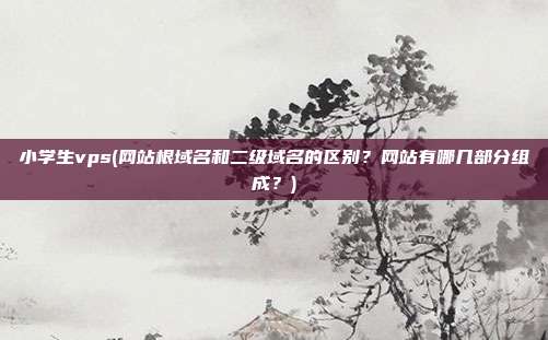小学生vps(网站根域名和二级域名的区别?网站有哪几部分组成?)