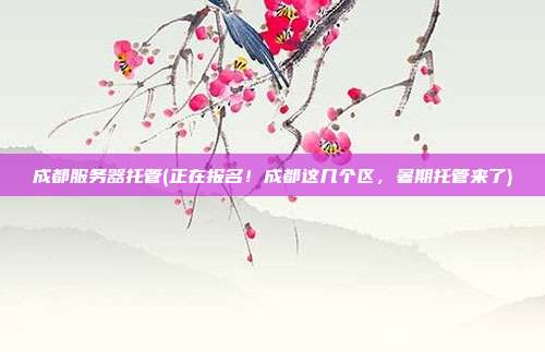 成都服务器托管(正在报名!成都这几个区,暑期托管来了)