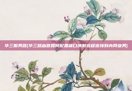 华三服务器(华三路由器如何配置端口映射远程连接到内网业务)