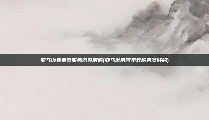 亚马逊免费云服务器好用吗(亚马逊用阿里云服务器好吗)