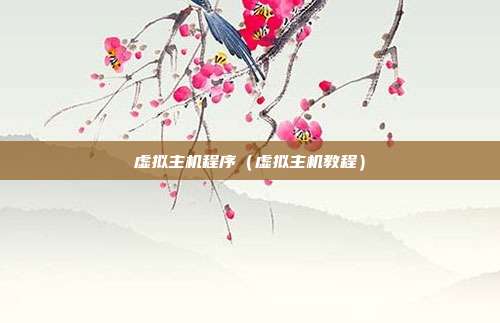 虚拟主机程序（虚拟主机教程）
