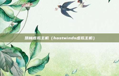 慧林虚拟主机(hostwinds虚拟主机)